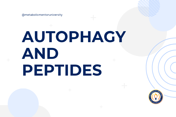 Autophagy & Peptides